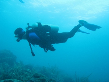 Diving in Tobago